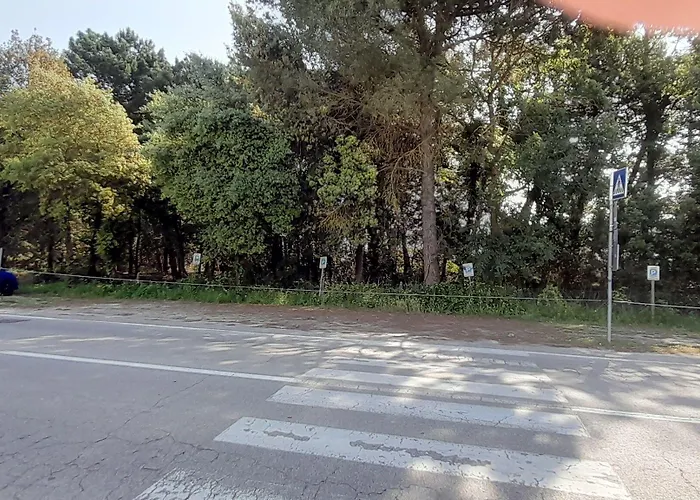 Hotel Maddalena Marina di Ravenna